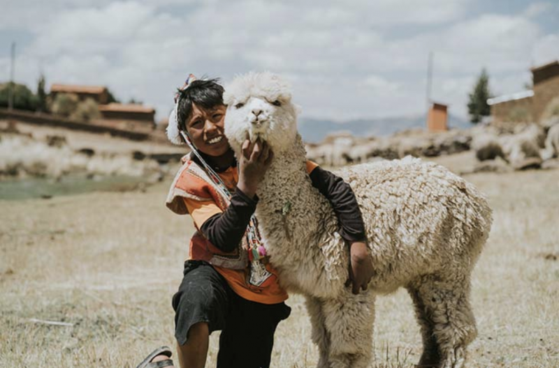 Alpaka Pullover I Designed By Another Life